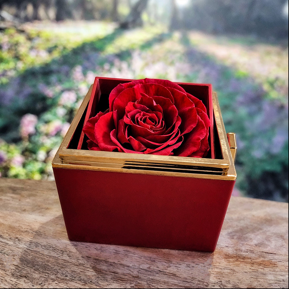 Testing Rotating Rose Box 4.2.25