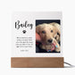 Pet Memorial Plaque