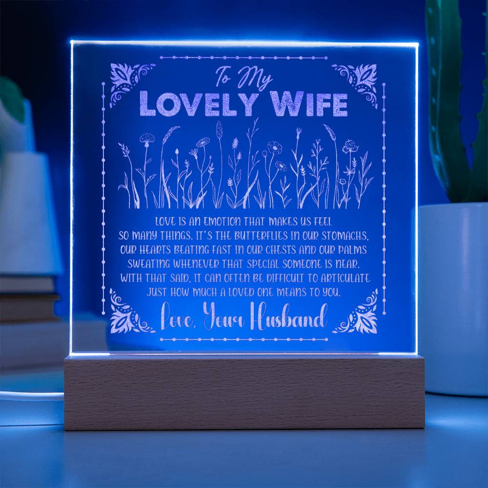 Engraved Acrylic Test 13-To My Lovely Wife