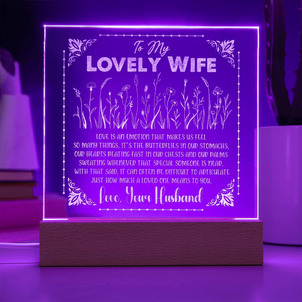 Engraved Acrylic Test 13-To My Lovely Wife