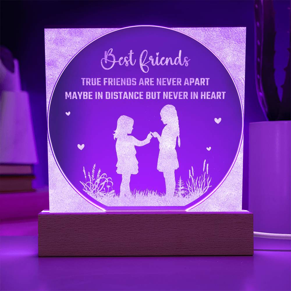 Testing Engraved Acrylic Circle - Best Friends