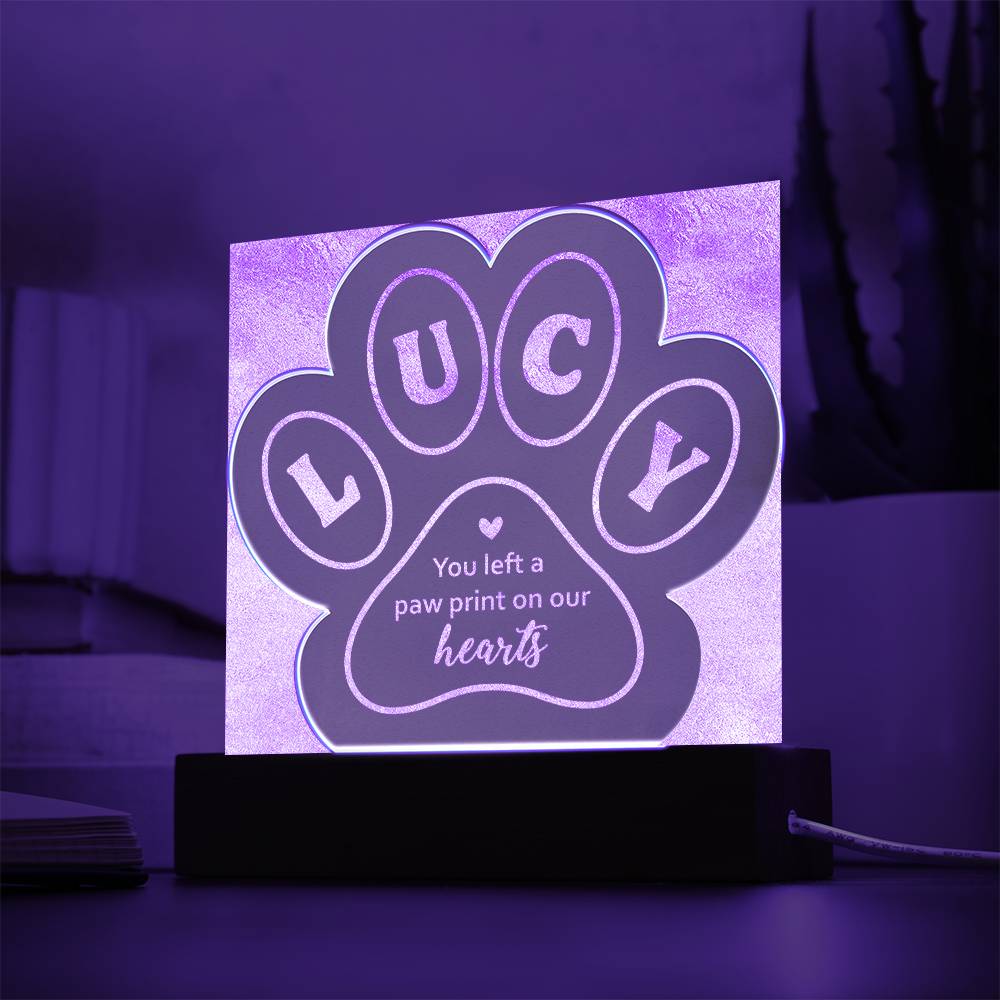 Engraved Paw Print Test 10.27.23