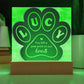 Engraved Paw Print Test 10.27.23