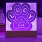 Engraved Paw Print Test 10.27.23