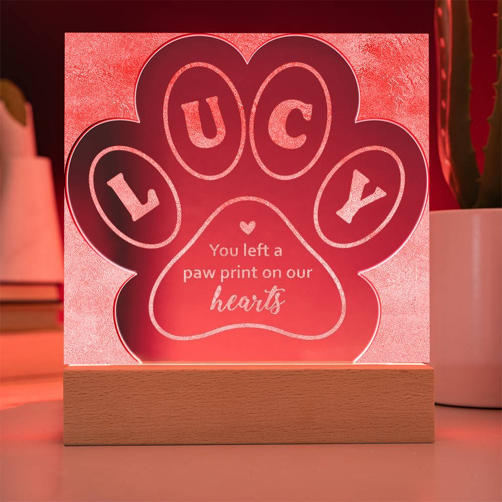 Engraved Paw Print Test 10.27.23