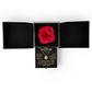 Black Rose Box (MB - Daughter)