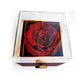 Testing Rotating Rose Box 3.31.25