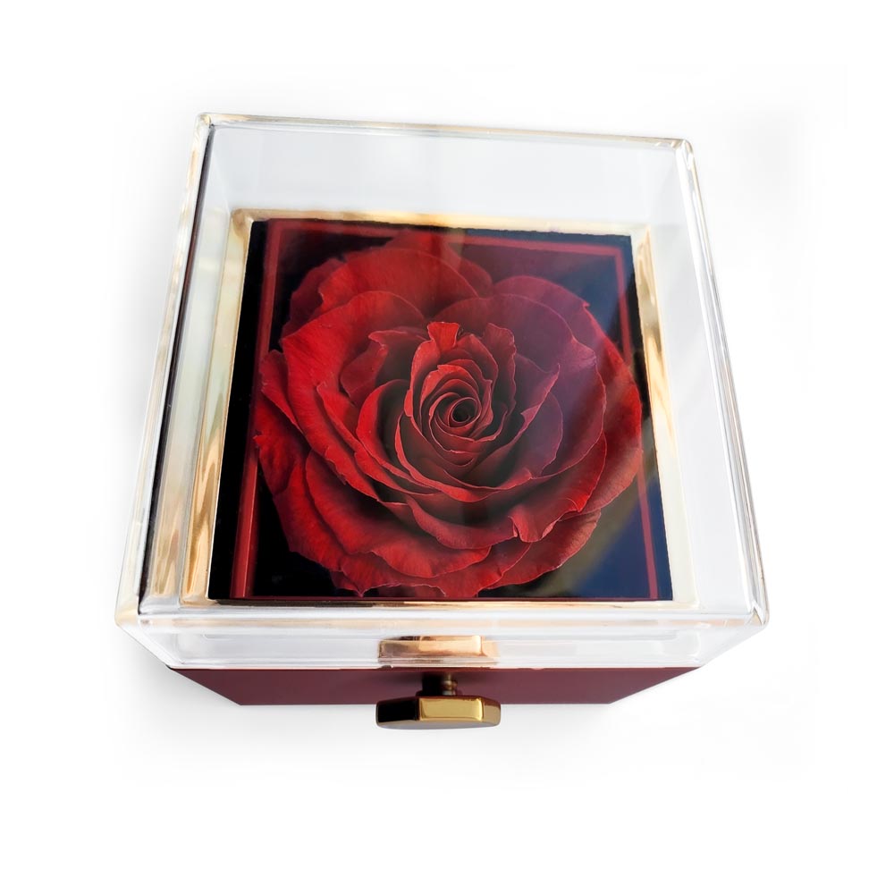 Testing Rotating Rose Box 3.31.25