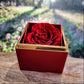 Testing Rotating Rose Box 4.1.25