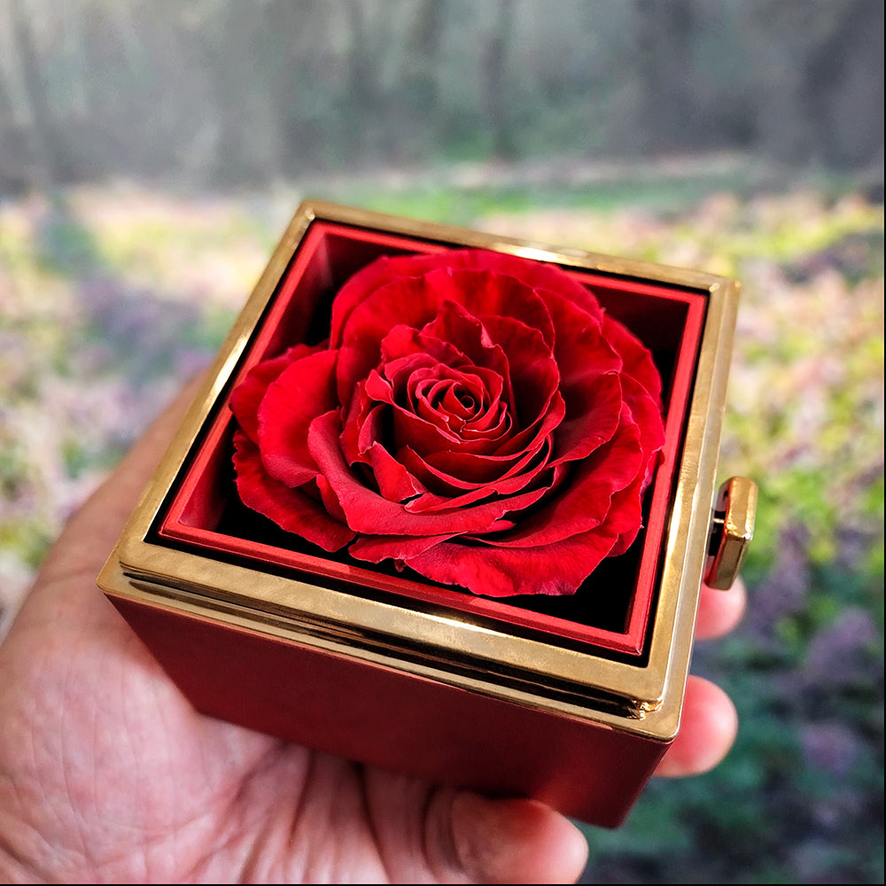 Testing Rotating Rose Box 4.1.25