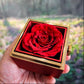 Testing Rotating Rose Box 4.2.25