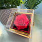 Blank Sample Rotating Rose Box - FOR PHOTOSHOOT