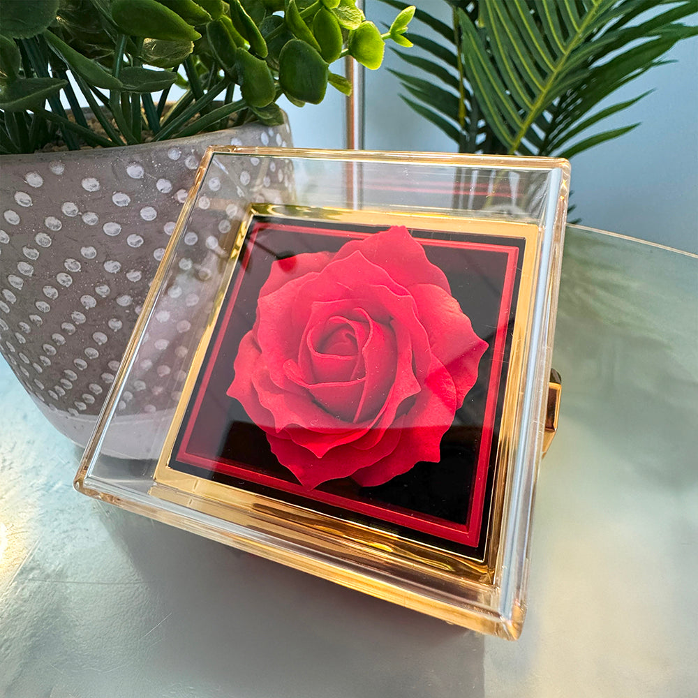 Testing Rotating Rose Box w/ Alluring Beauty (PT-9554)